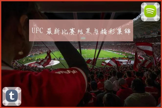 UFC 最新比赛结果与精彩集锦