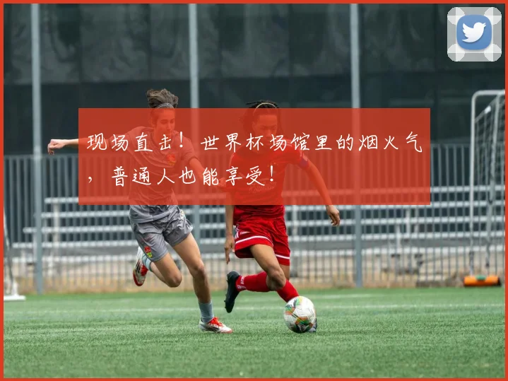 现场直击！世界杯场馆里的烟火气，普通人也能享受！