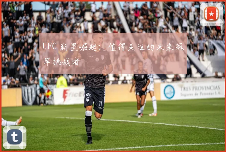 UFC 新星崛起：值得关注的未来冠军挑战者